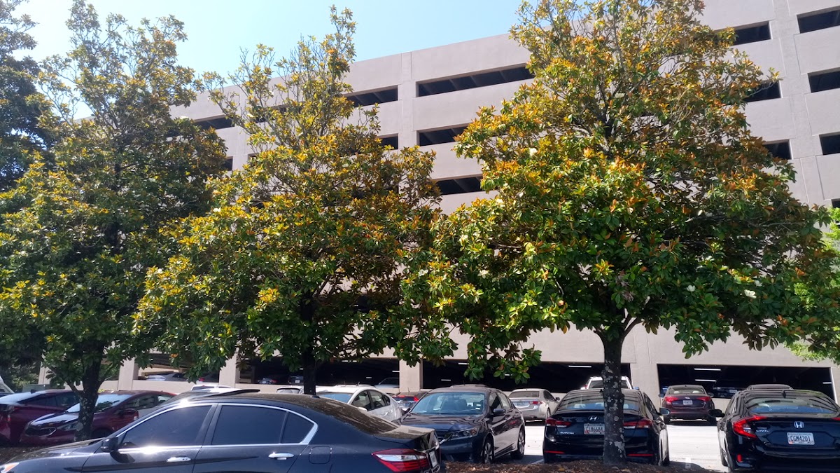 Southern Waste and Recycling