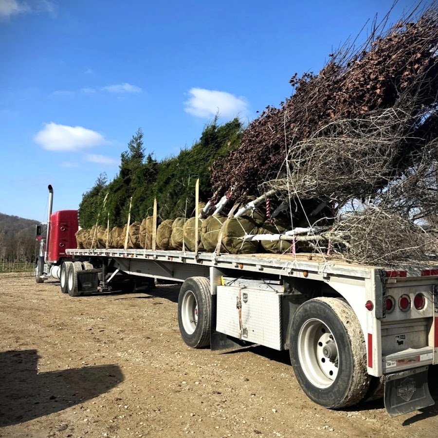 Cherry Creek Nursery