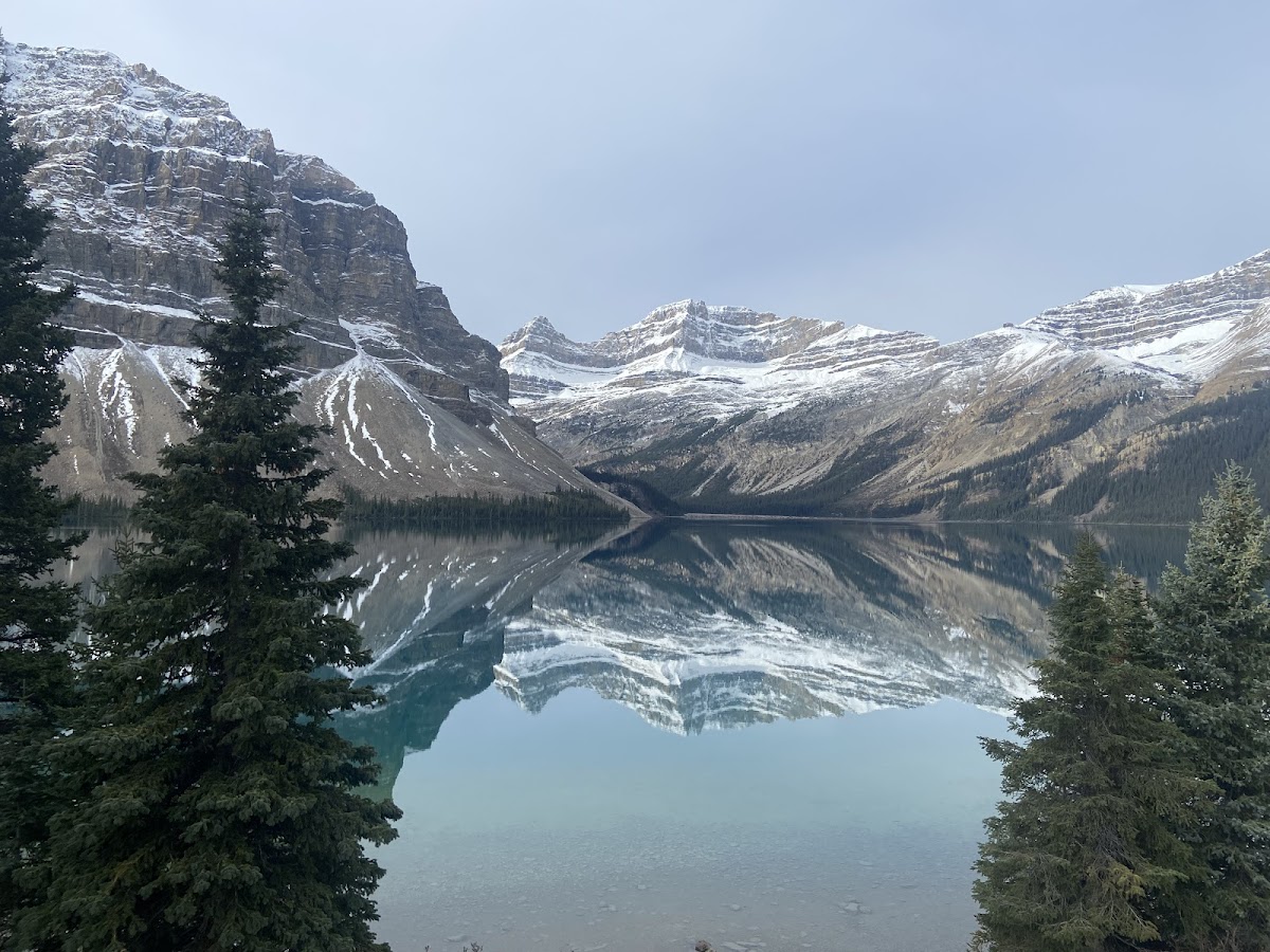 Bill’s Flooring Service