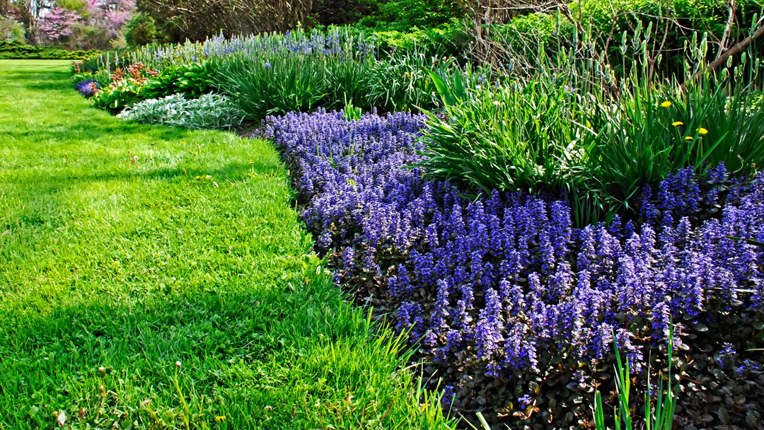 Landscape & Forestry Services