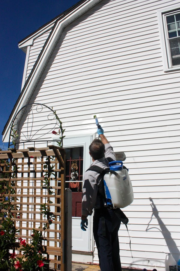 Anchor Pest Services