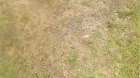 Curry's Affordable Residential plumbing