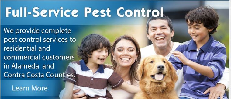 California Exterminating Service