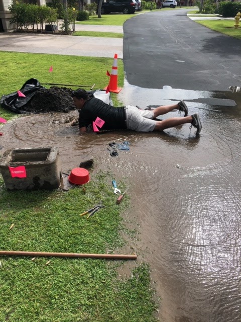 Pipe Sharks LLC Drain Cleaning in Kailua-Kona, HI photo