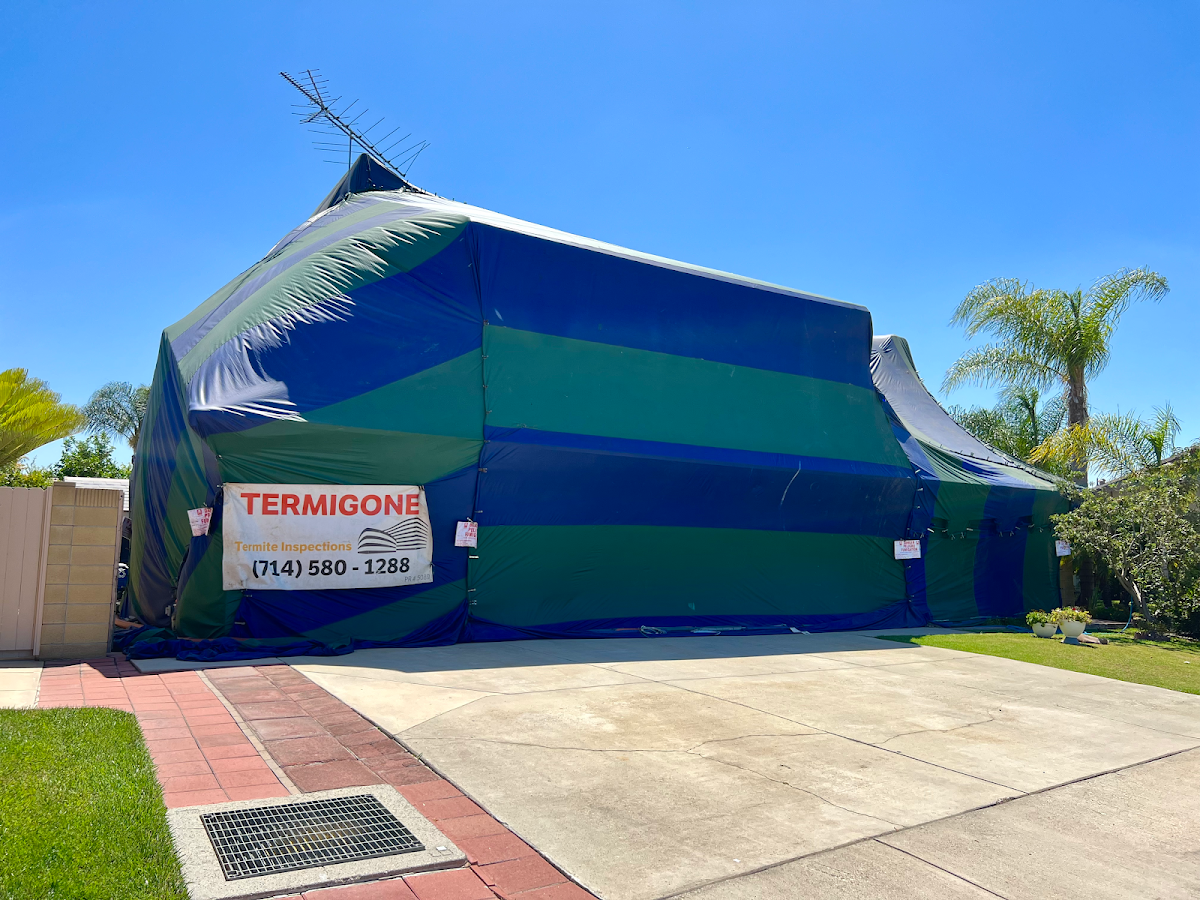 Termigone Exterminators