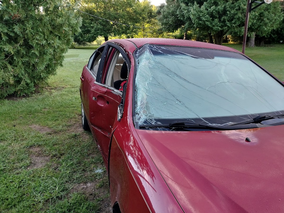 Precision Glass & Glazing