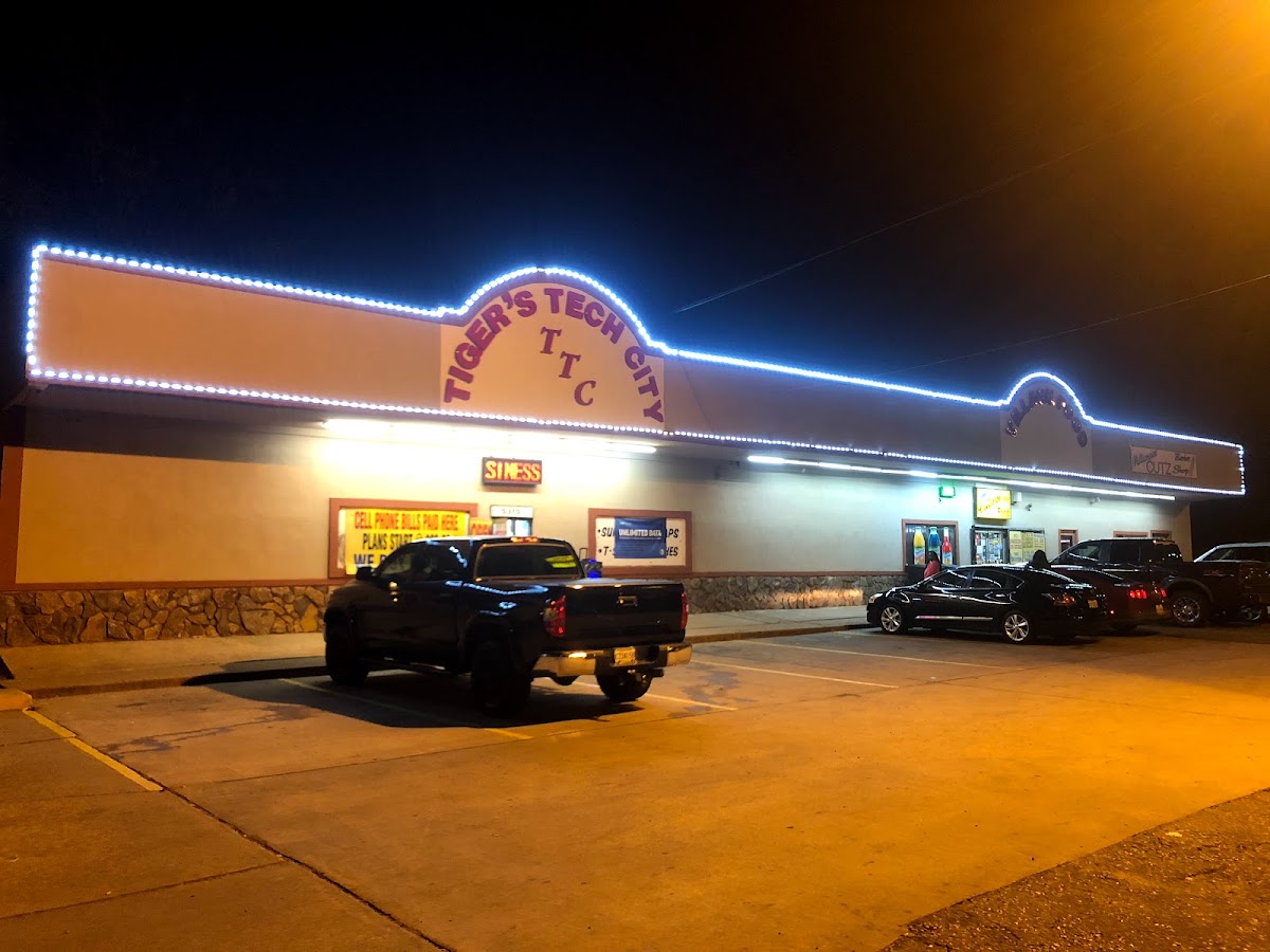 Tiger’s Tech City