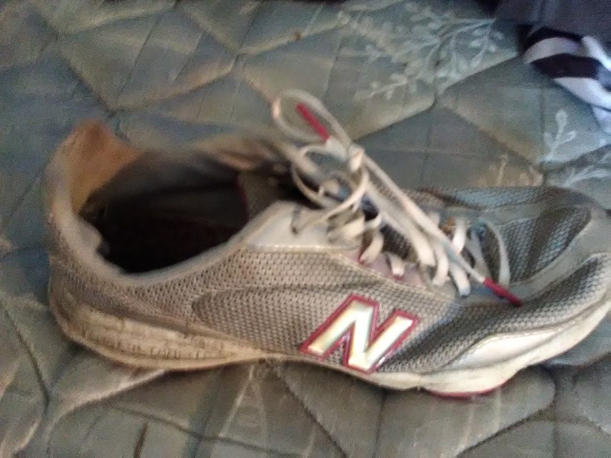 SealMaster - SealMaster Retaining Wall Repair in Pascagoula, MS photo