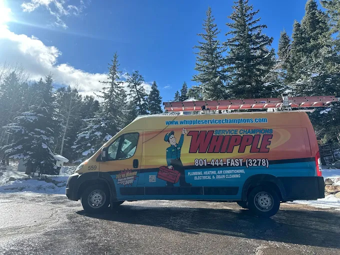 Whipple Service Champions