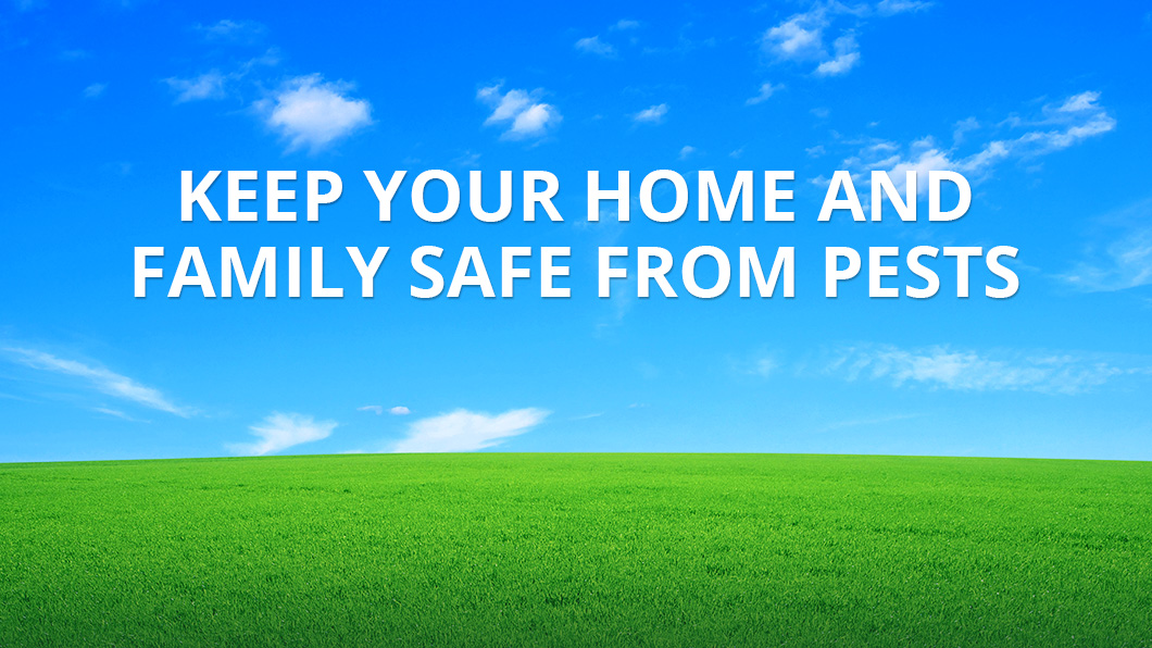 Patriot Pest Management