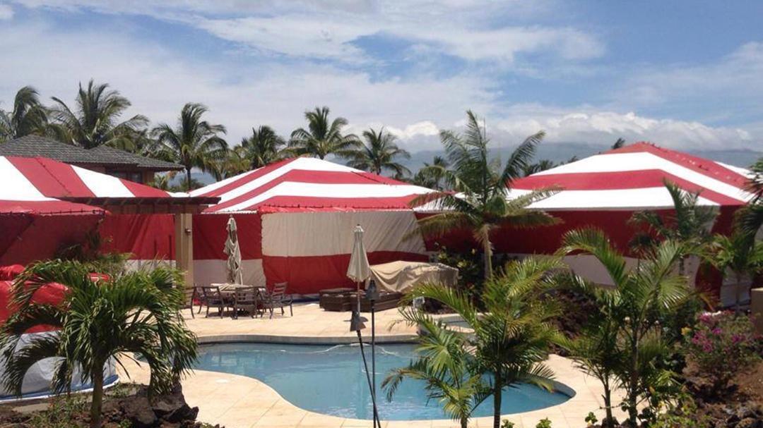 Mason Termite and Pest Control