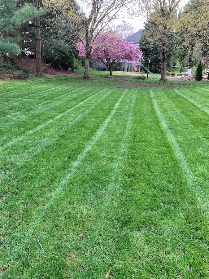 Earthrise Landscape, LLC