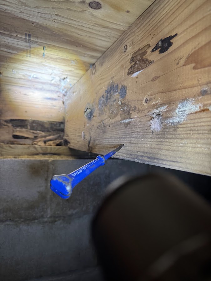 Resolve Pest Management