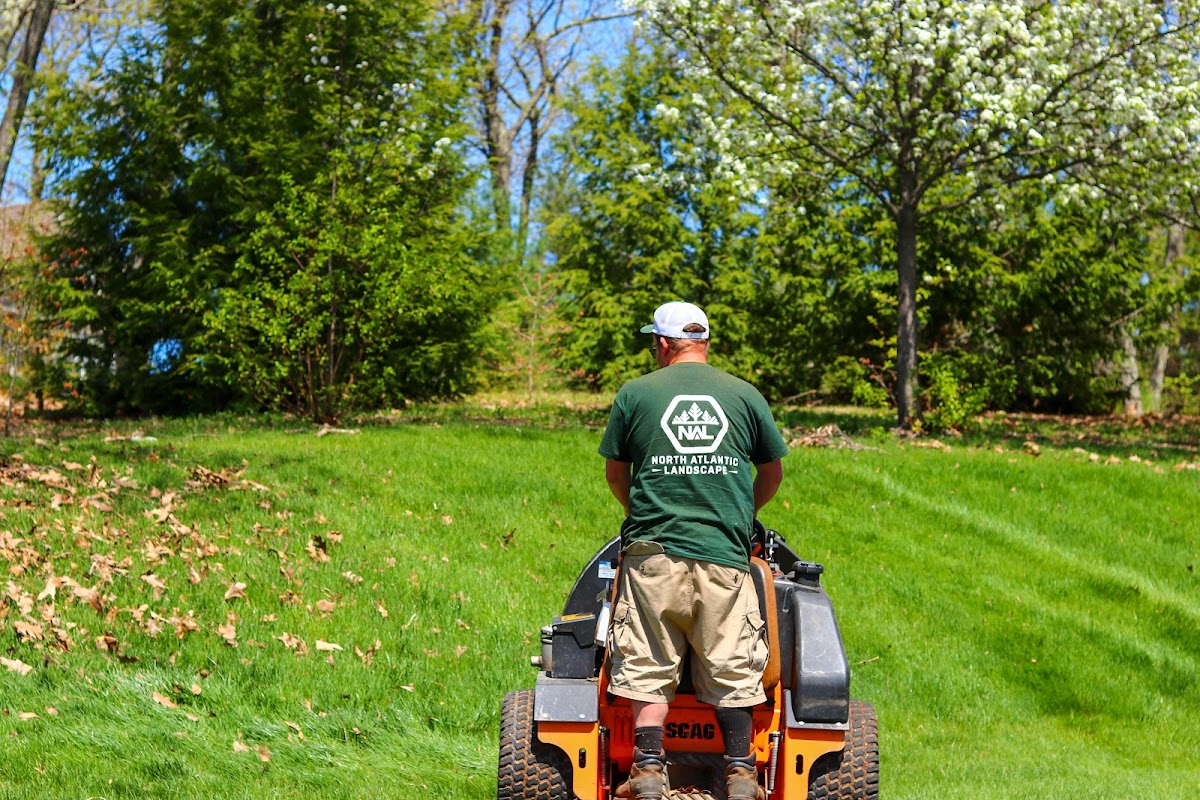 North Atlantic Landscape