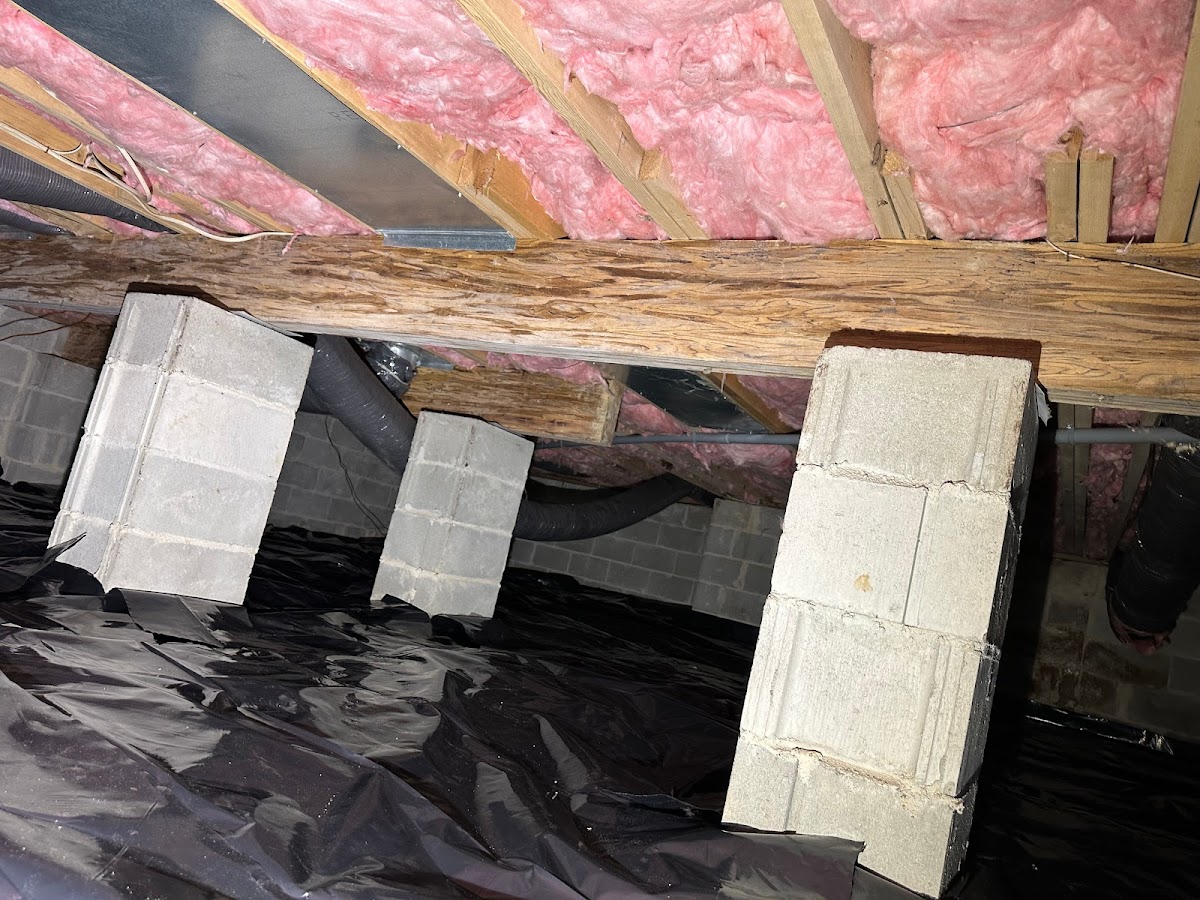 Superior Termite & Pest Control Inc