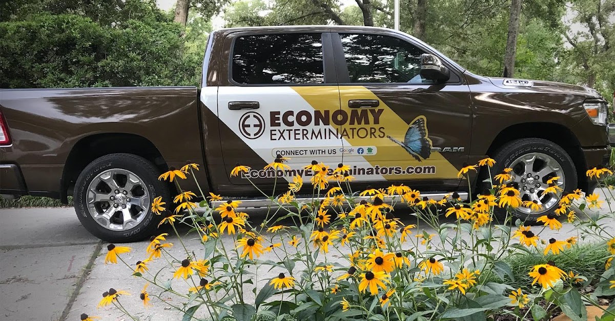 Economy Exterminators