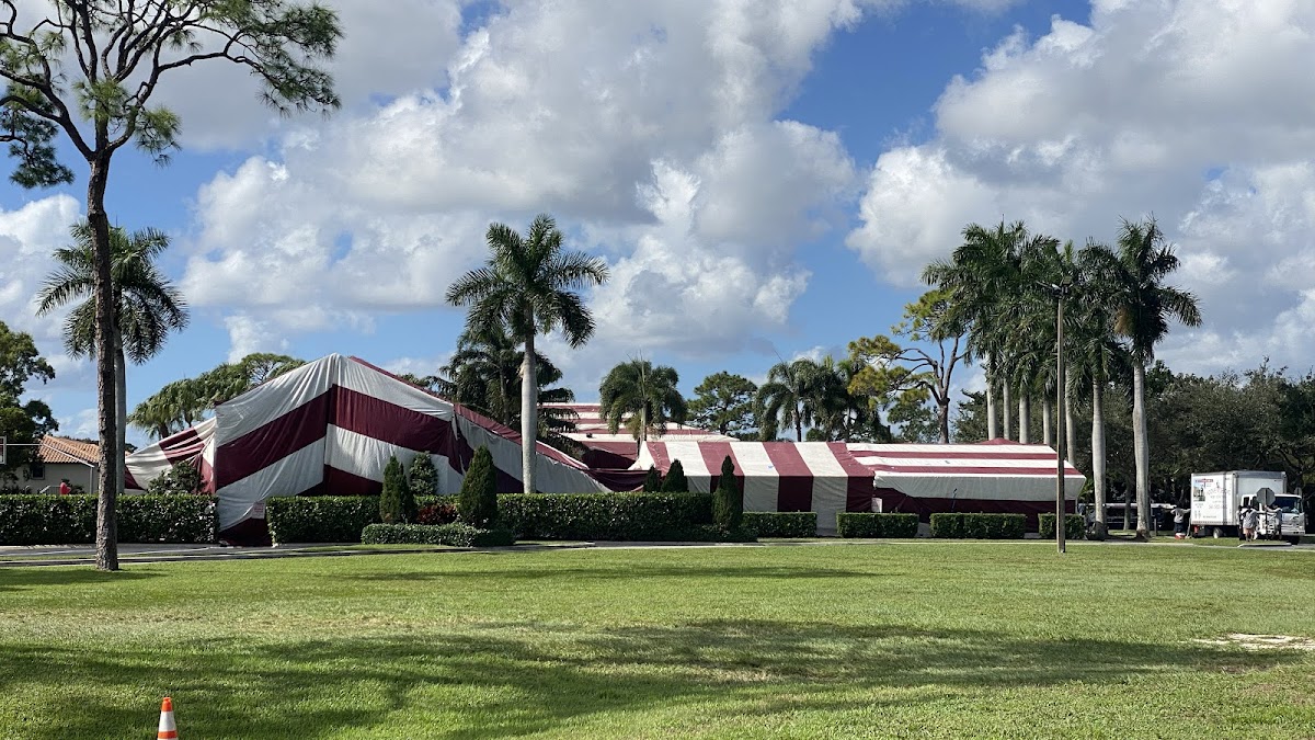 Above and Beyond Pest Control