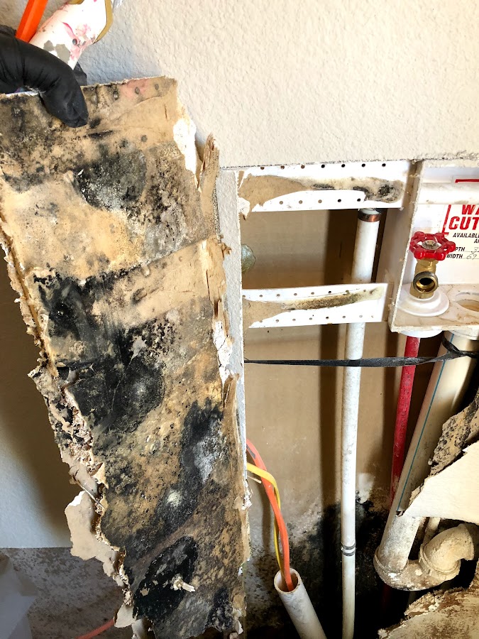 White Mountain Restoration