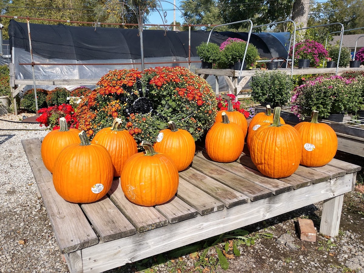 Valley Lawn & Garden