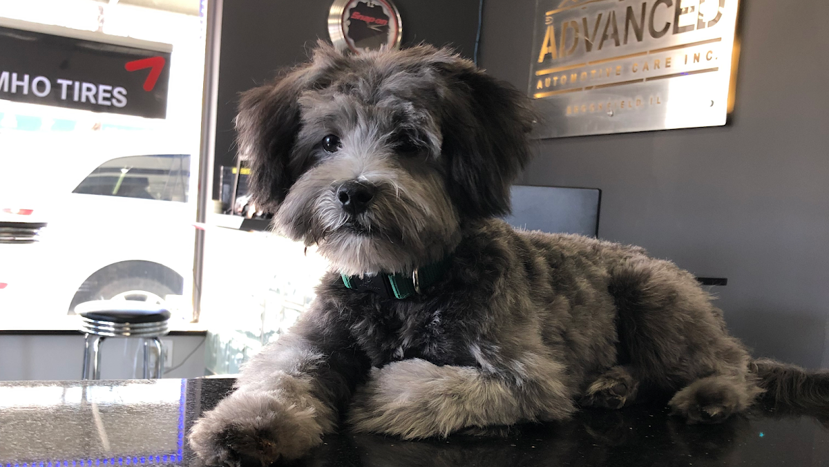 Advanced Automotive Care Inc