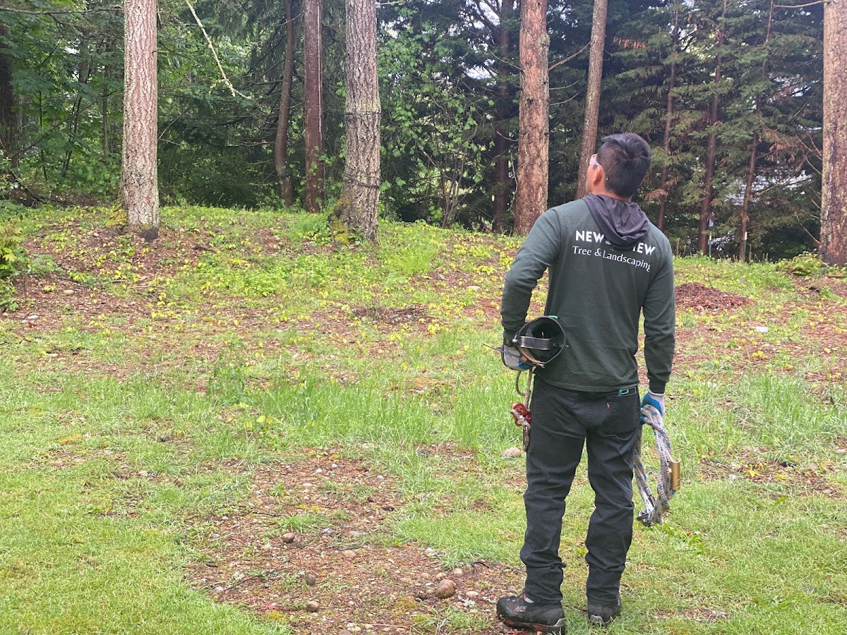 New View Tree and Landscaping