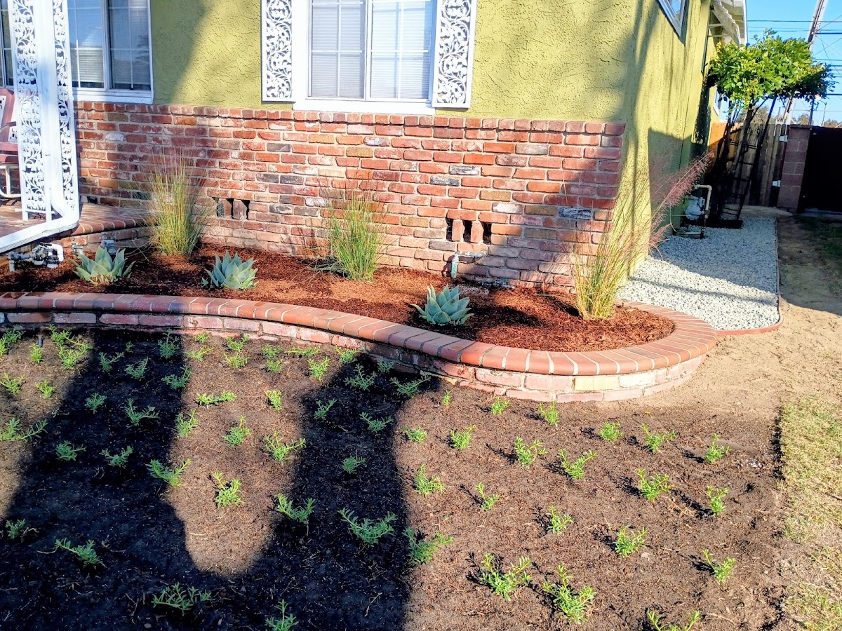 HERNANDEZ LAND AND HARDSCAPING