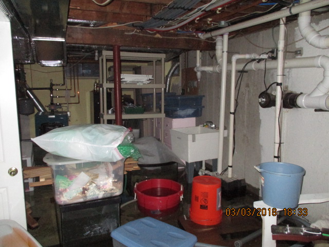 Paradise - Paradise Carpet Repair in Middletown, RI photo