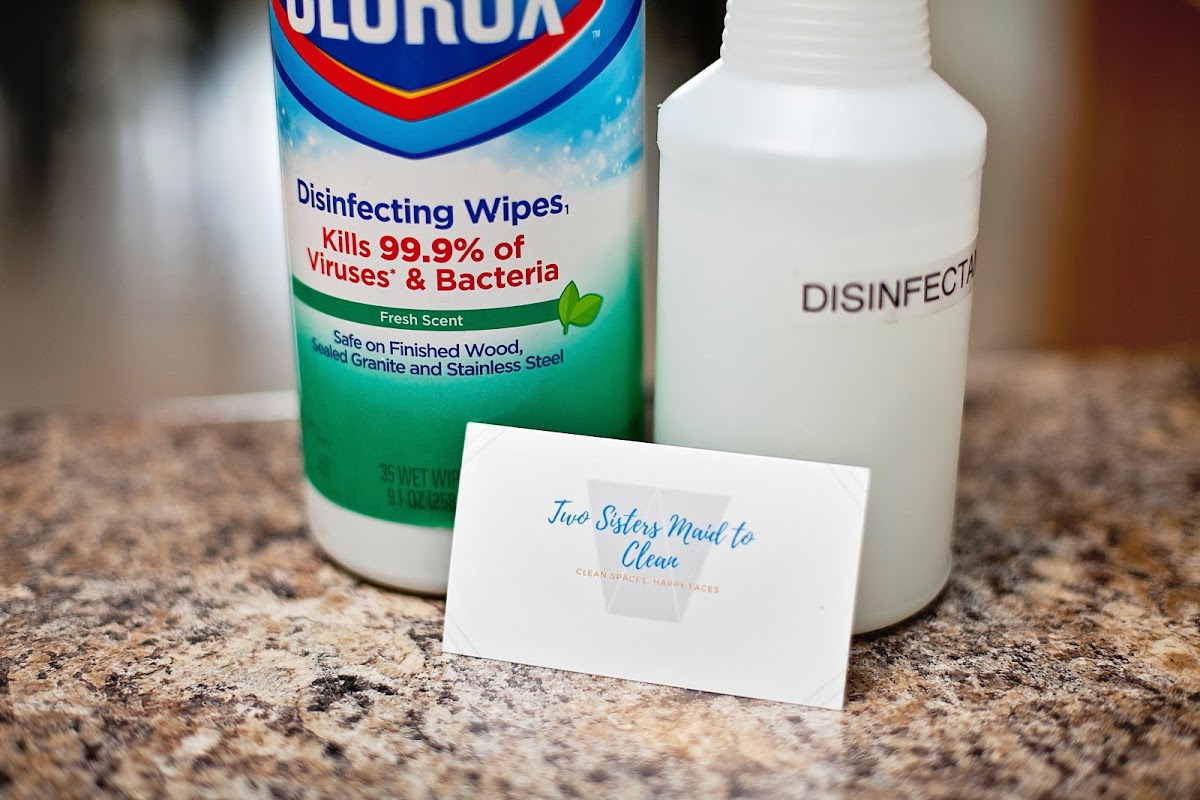 Two Sisters Maid To Clean