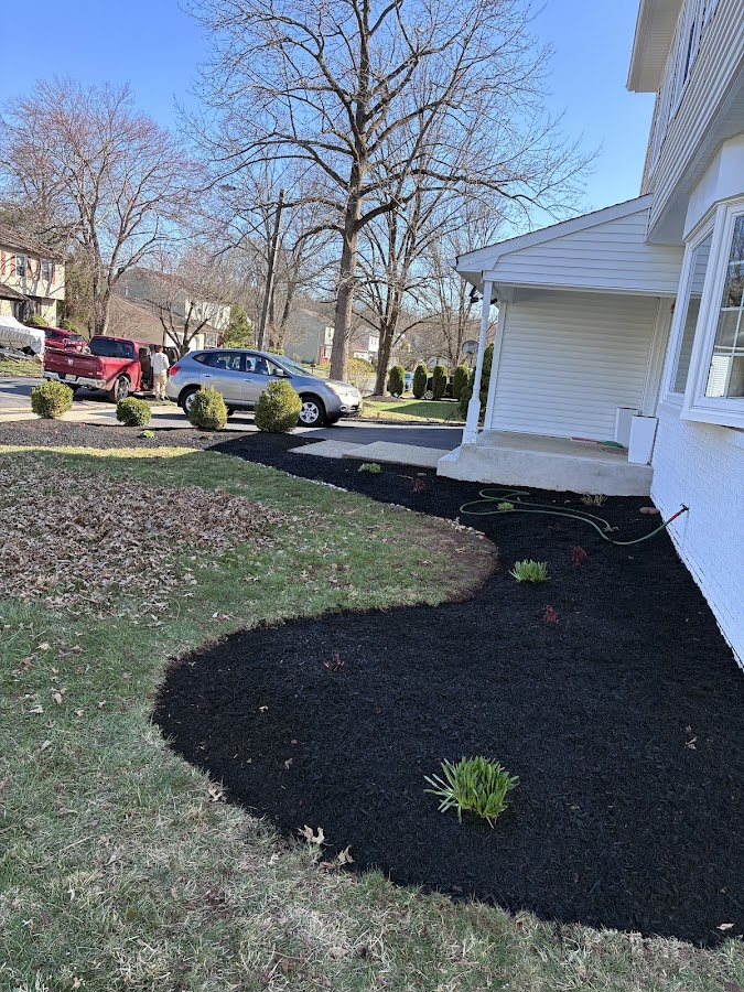 Dynamic Landscaping & Construcction LLC