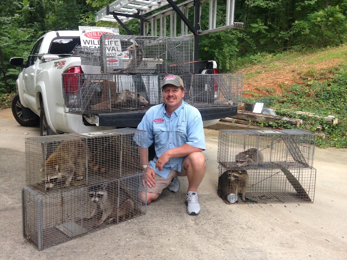 Wildlife Technicians