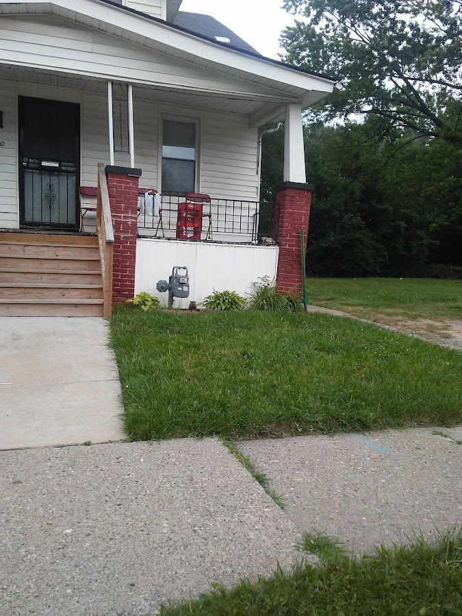 Motor City Pest Control