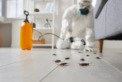 Entrust Pest Control