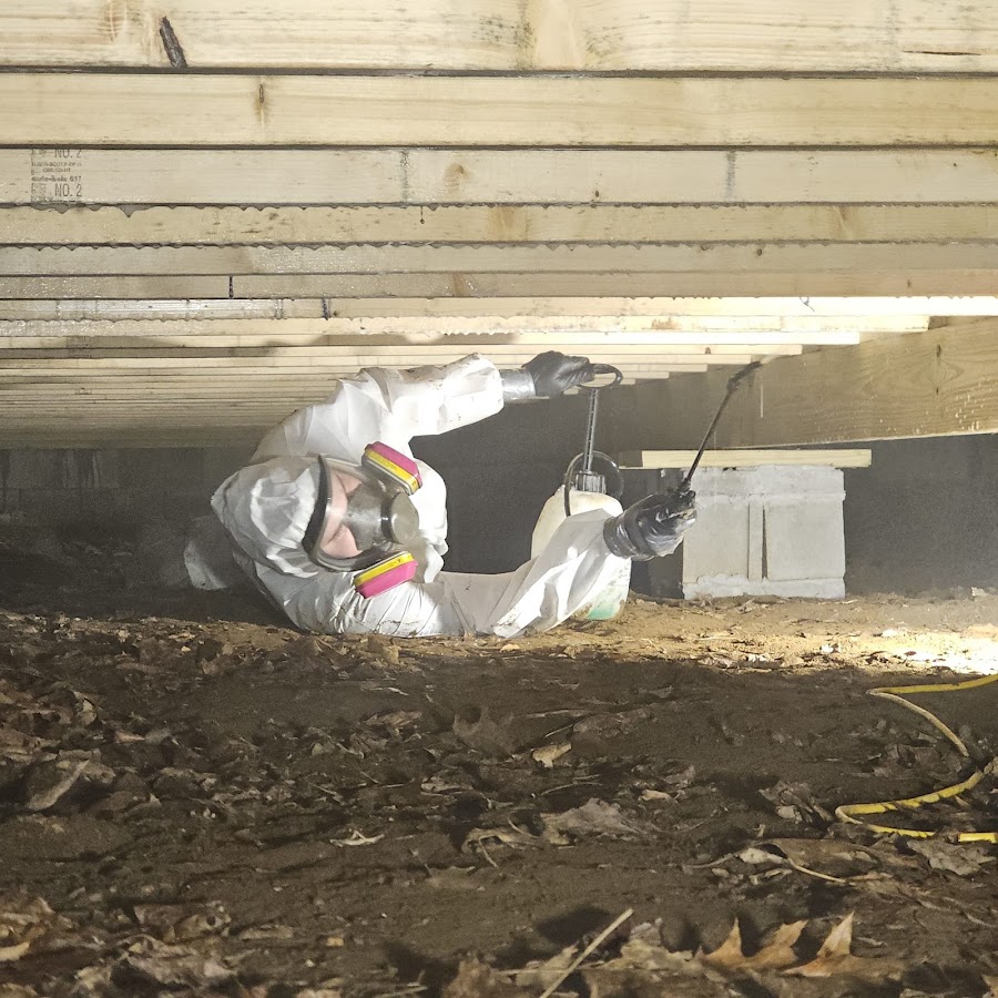 All Dry Services of East Tennessee