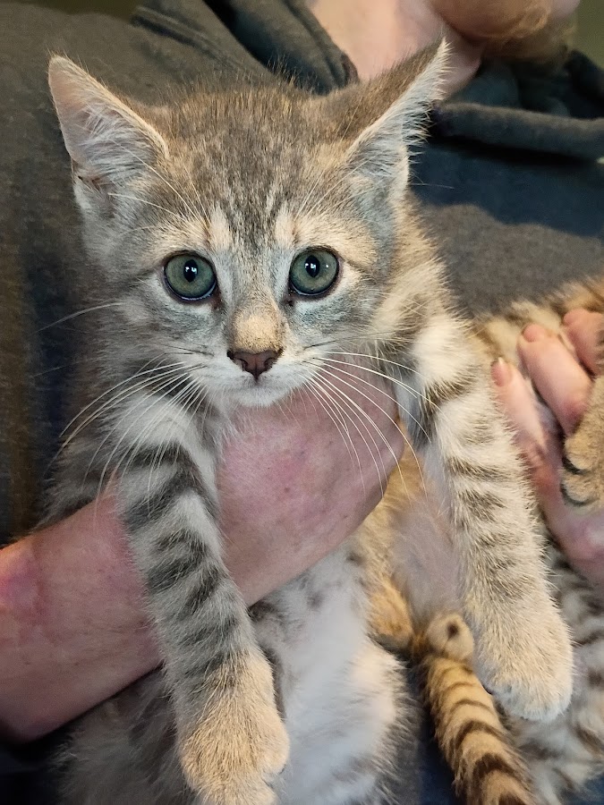 Frederick County Animal Control