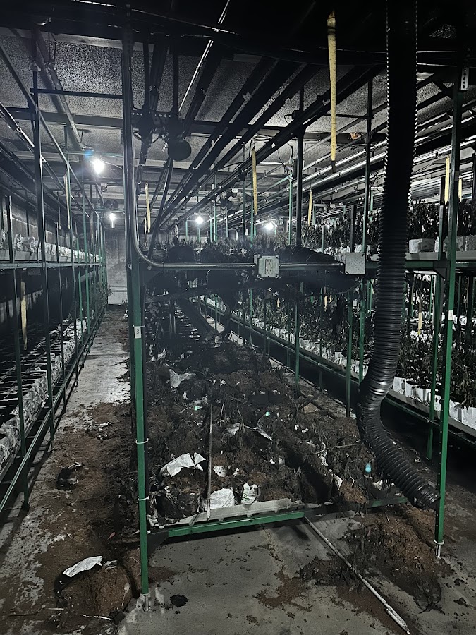 Disaster Recovery Restoration