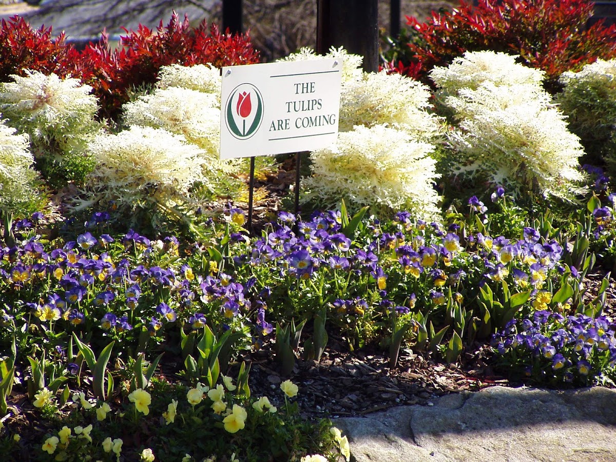 Lakewood Landscape Group