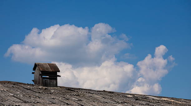 Jackson Chimney and Wood Burning