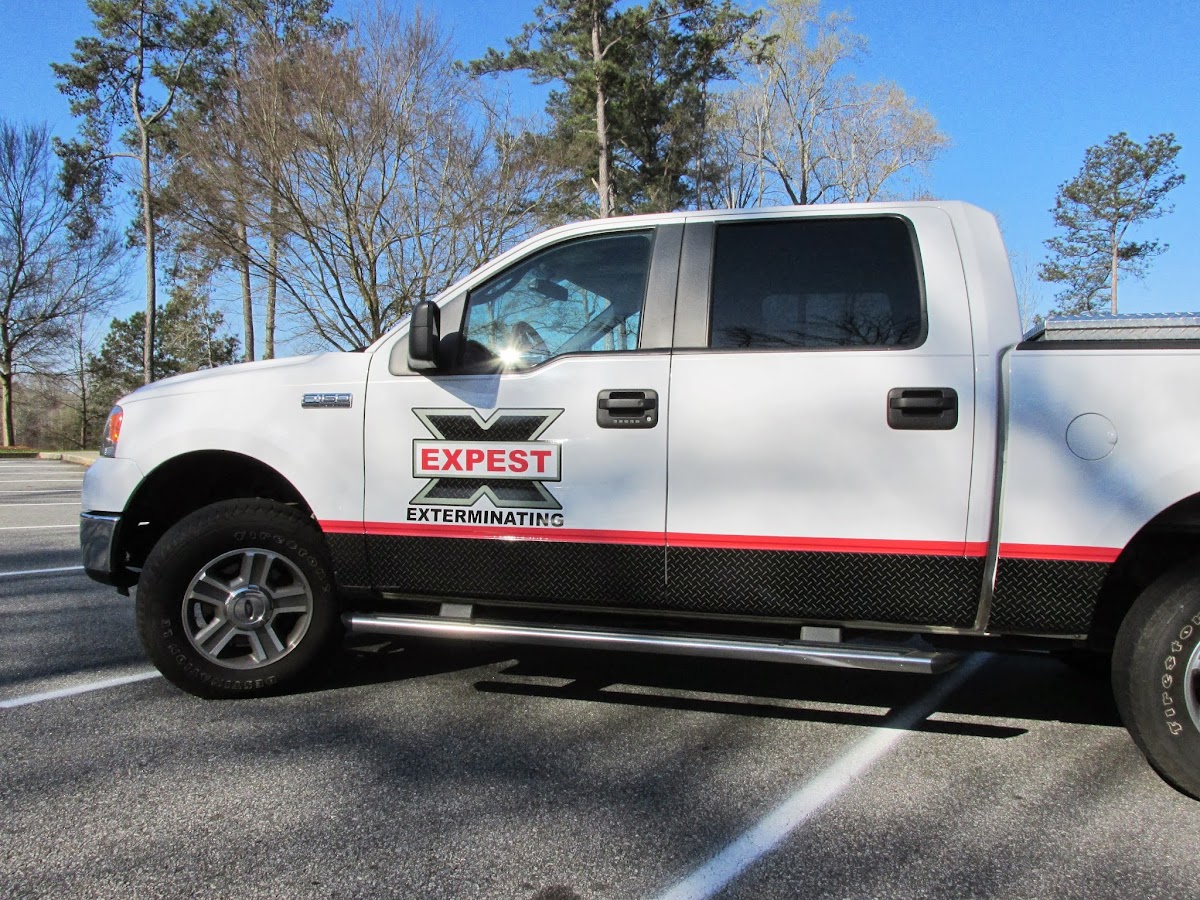 Expest Exterminating Pest Control