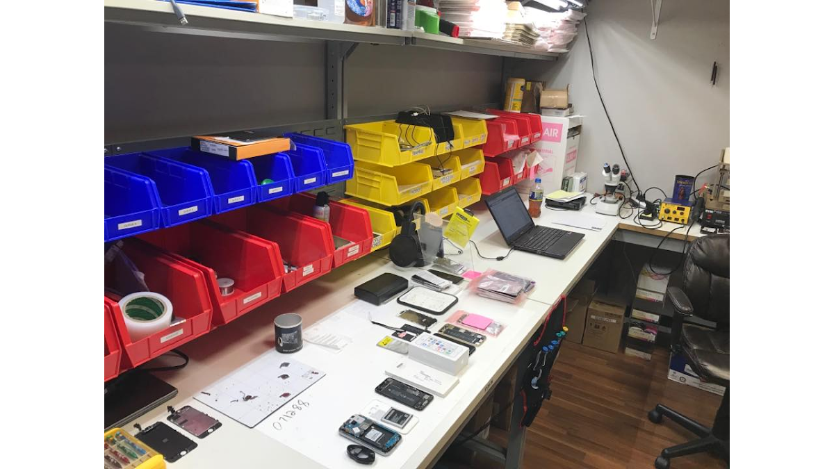 Jay Reece Cellular Repair