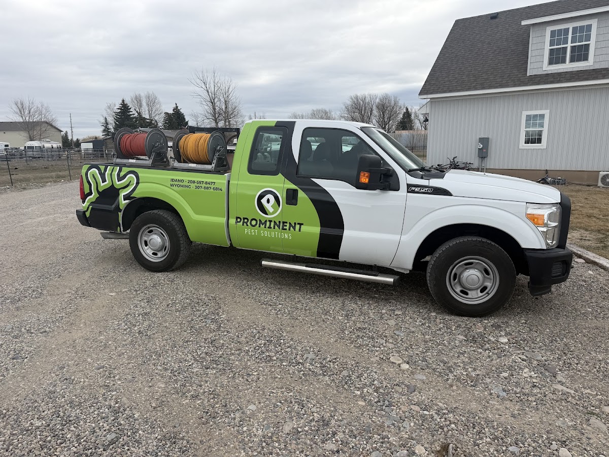 Prominent Pest Solutions