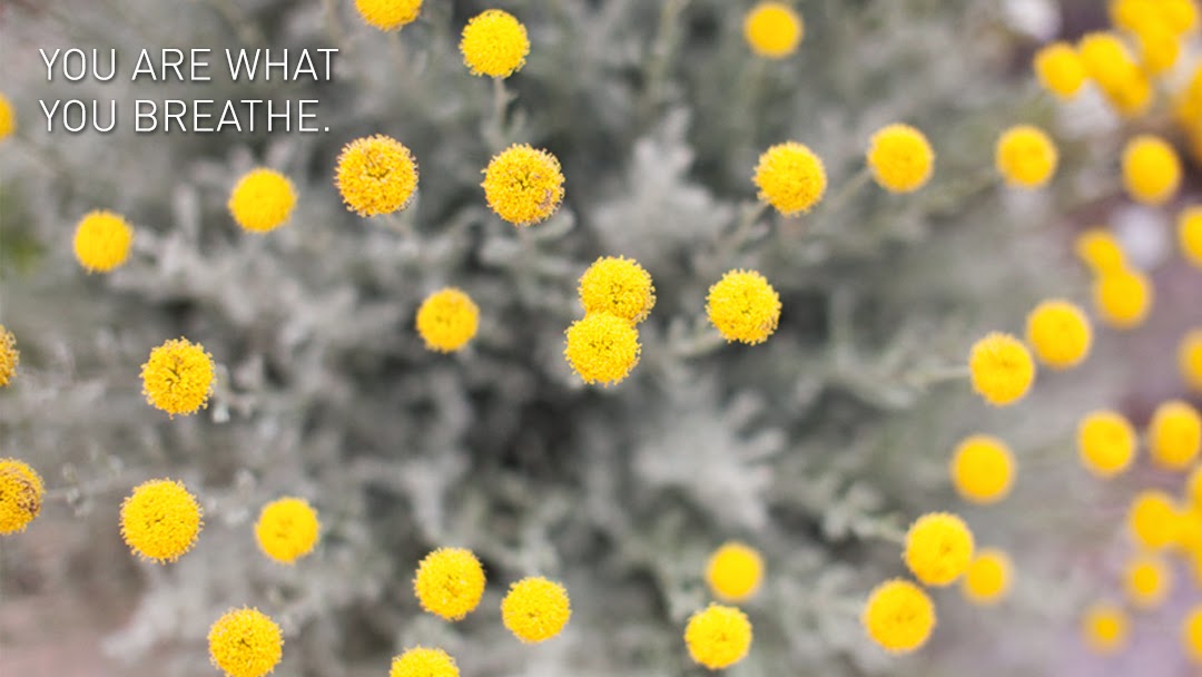 Comfort Heating & Cooling