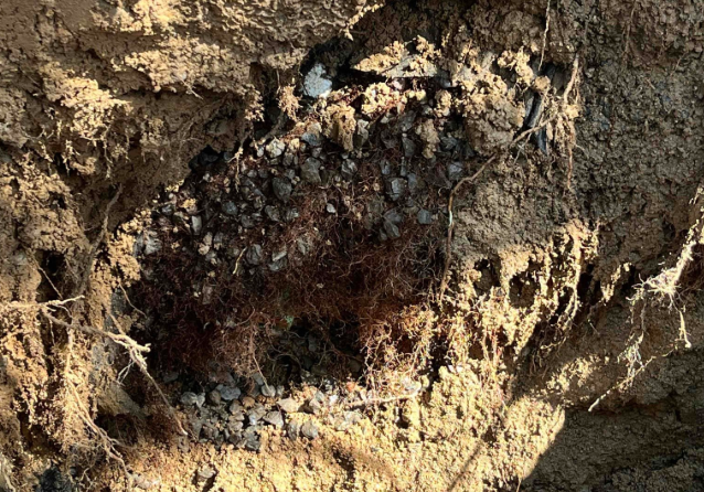 Mr. Rooter Plumbing of Peoria