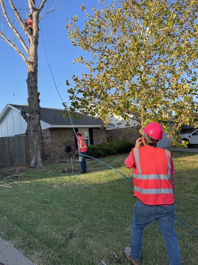 Clay's Services, Inc.