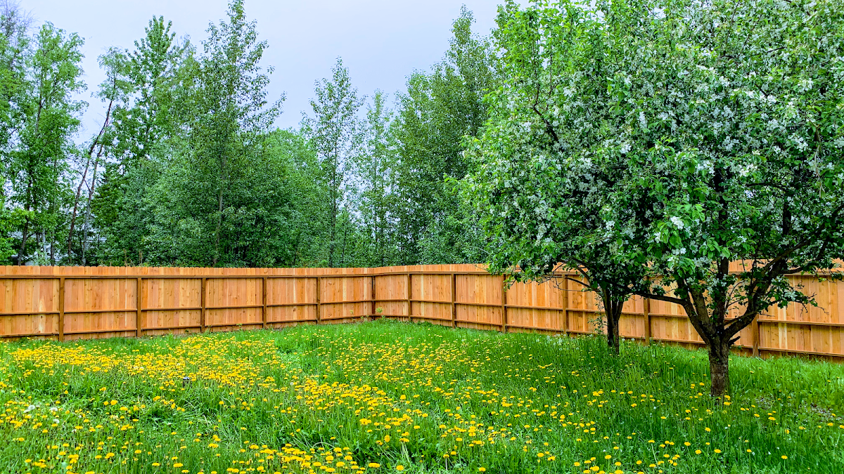 Valley Residential Fence