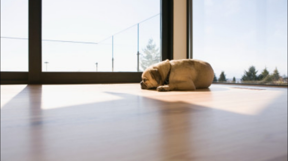 Wood Floor Renovations LLC