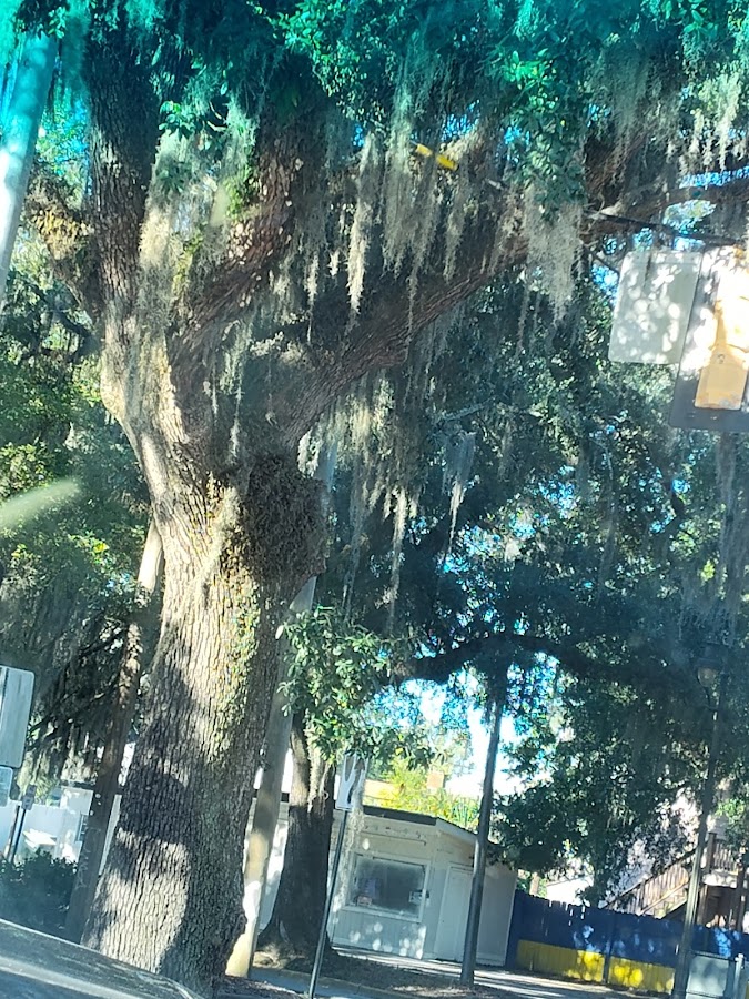 Climatech Air, Inc - Climatech Air, Inc AC Repair in Savannah, GA photo