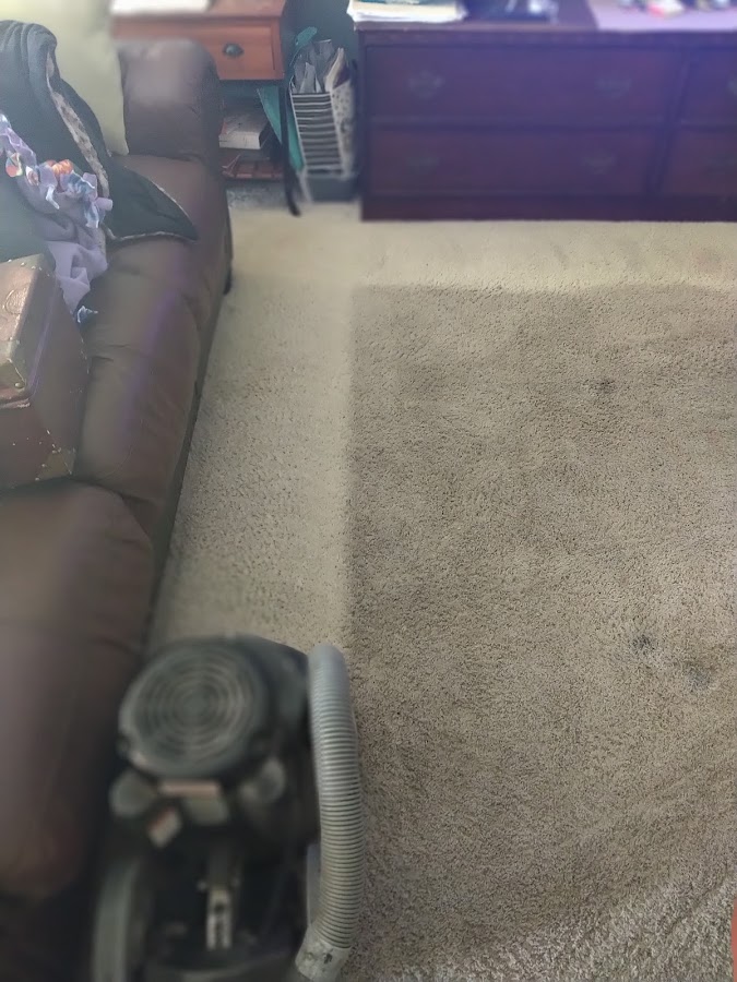 Actually Clean Carpet