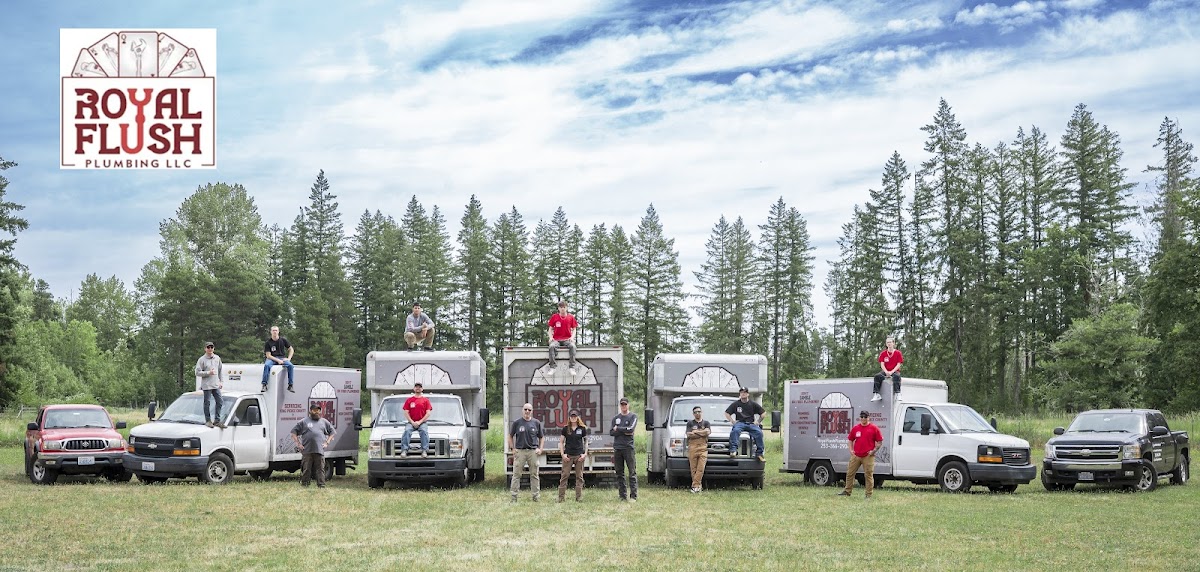 Royal Flush Plumbing