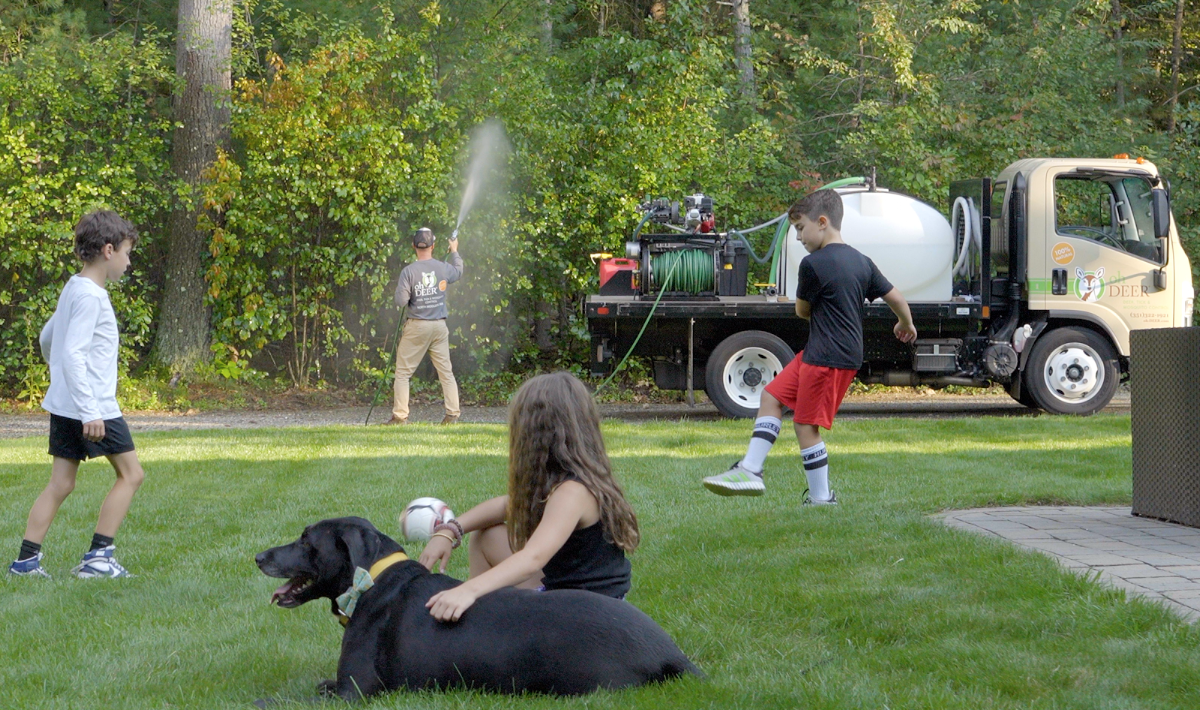 ohDEER of Northern ID