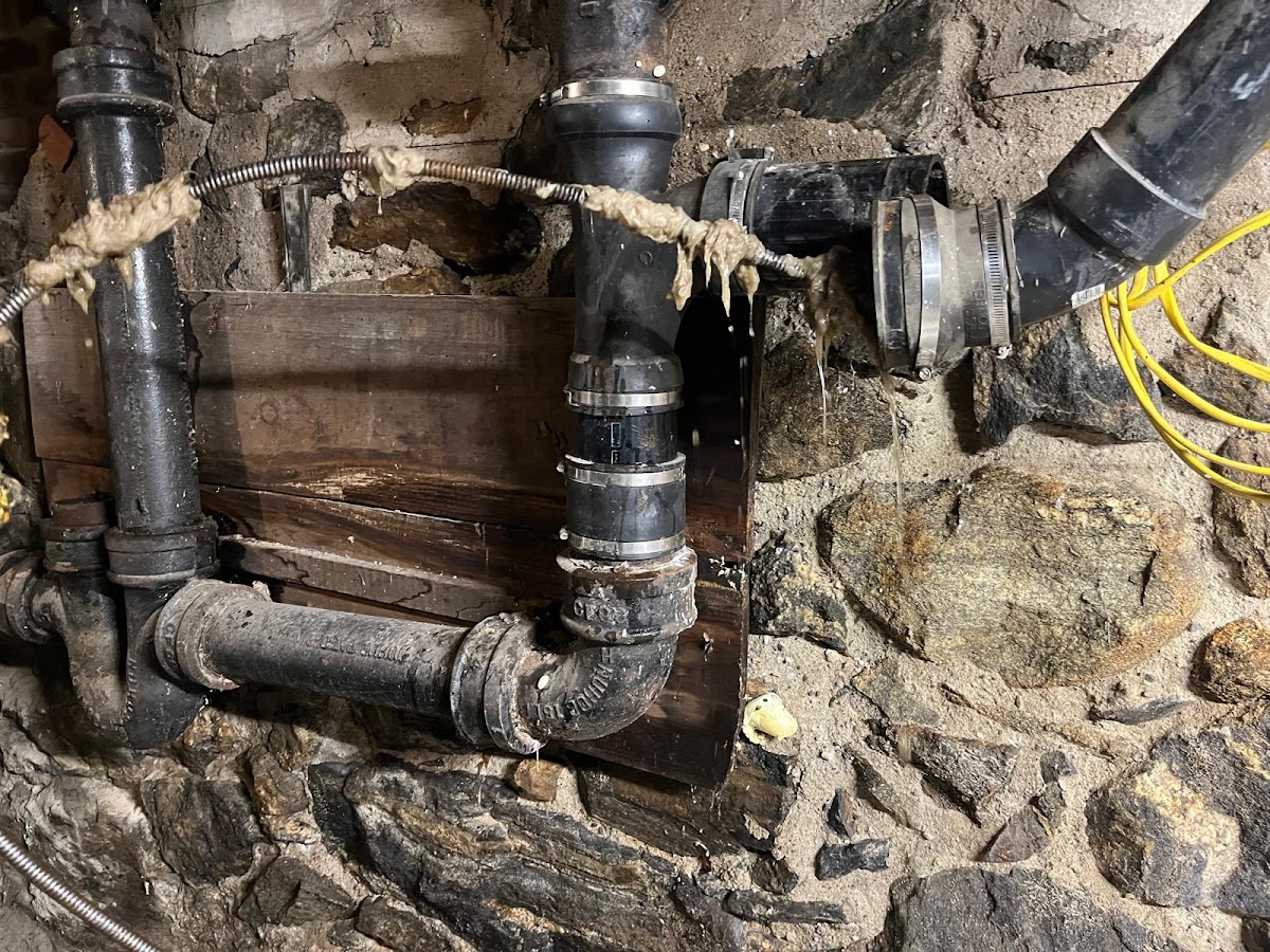 Master Rooter: Sewer and Drain Cleaning Service